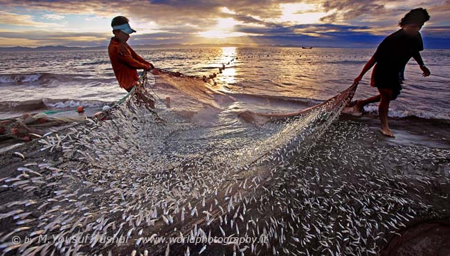 Fishing at Dubla Island,1